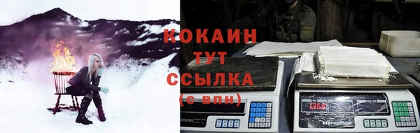 индика Армянск