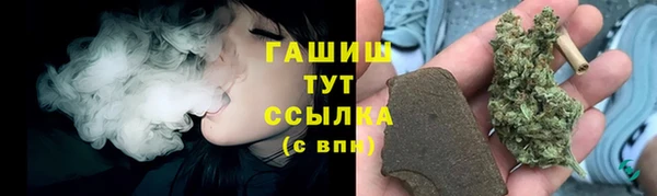 индика Армянск